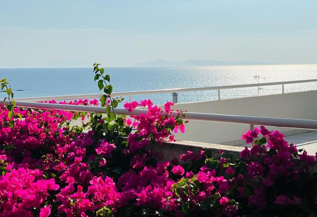 Sea, La Vie Daire Saronida Dış mekan fotoğraf